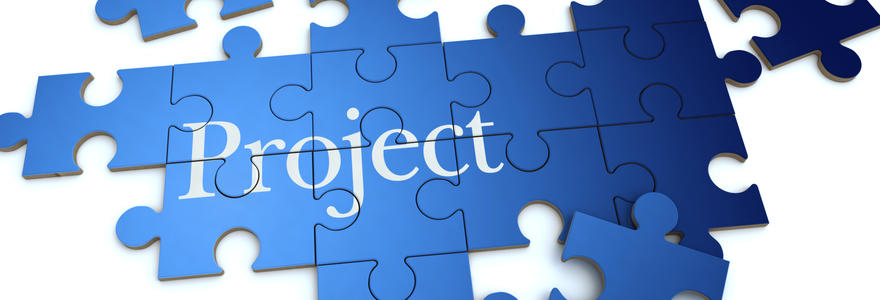 Comprehensive project management services